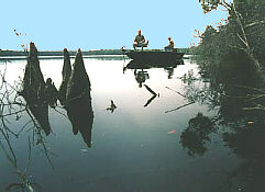bass fishing