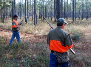 Florida quail hunting, Florida bird dog hunting in Chipley Florida